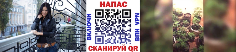 МЕГА ССЫЛКА  Иркутск  Марихуана сатива  закладка 